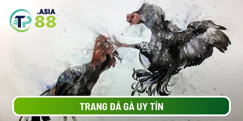 Trang đá gà uy tín
