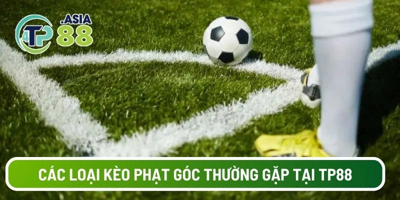Các loại kèo phạt góc thường gặp tại TP88