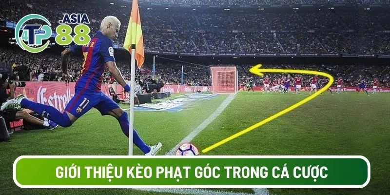 Giới thiệu kèo phạt góc trong cá cược