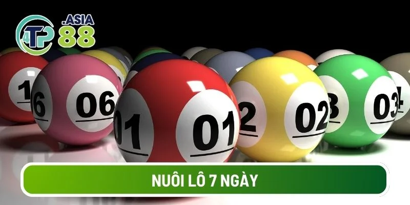 nuôi lô 7 ngày